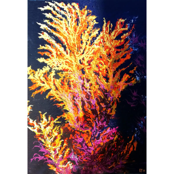 Koralli